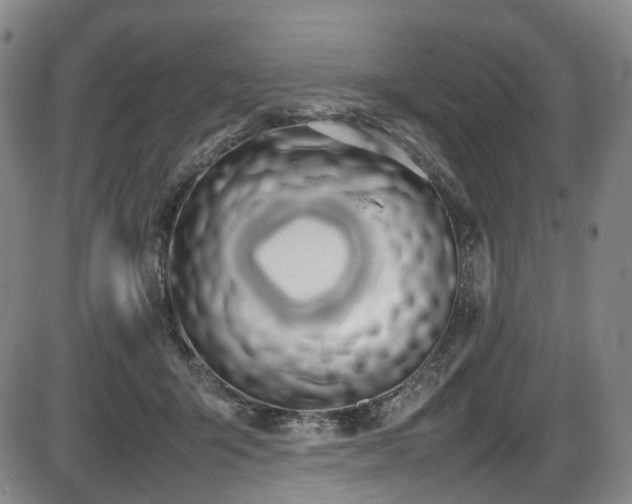 X0000086340415200703301300
