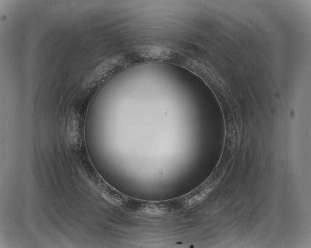 X0000086340416200703301300