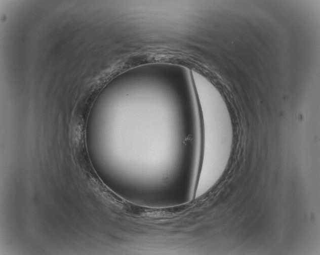 X0000086340417200703301300