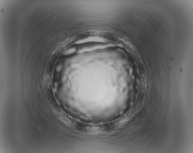 X0000086340419200703301300