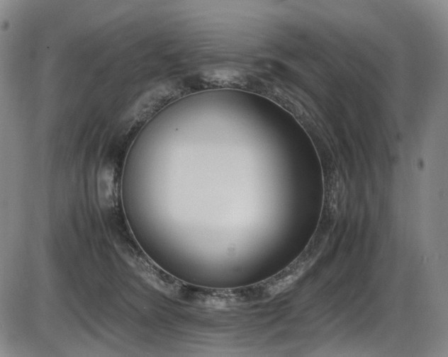 X0000086340420200703301300