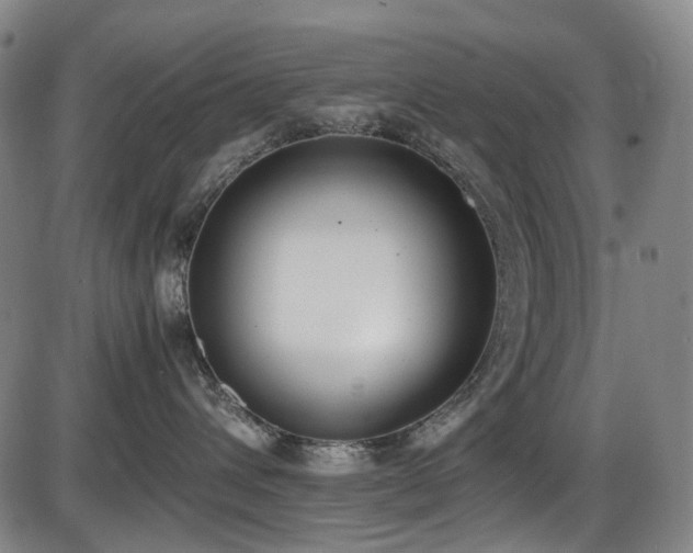 X0000086340432200703301300