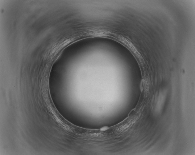 X0000086340433200703301259