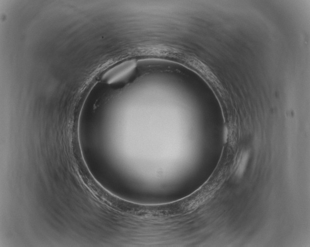 X0000086340434200703301259