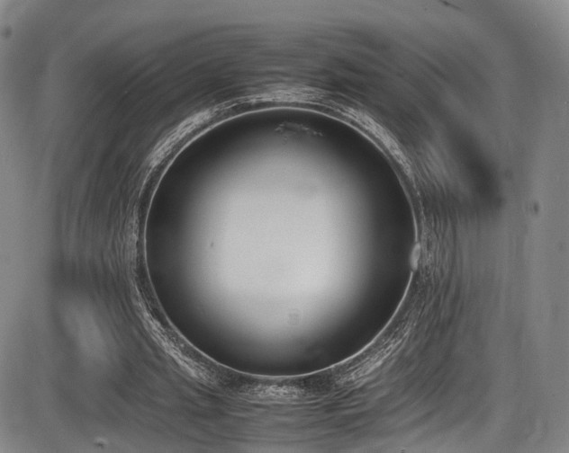 X0000086340437200703301259