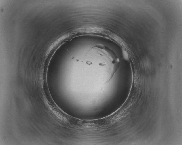 X0000086340438200703301259