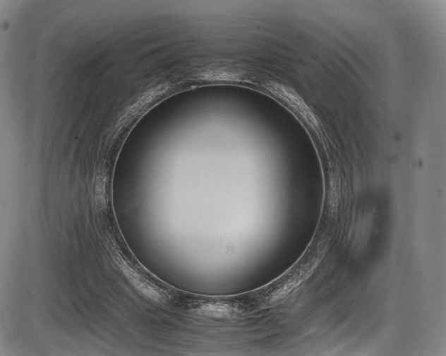 X0000086340441200703301300