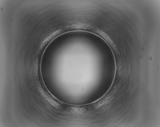 X0000086340442200703301300