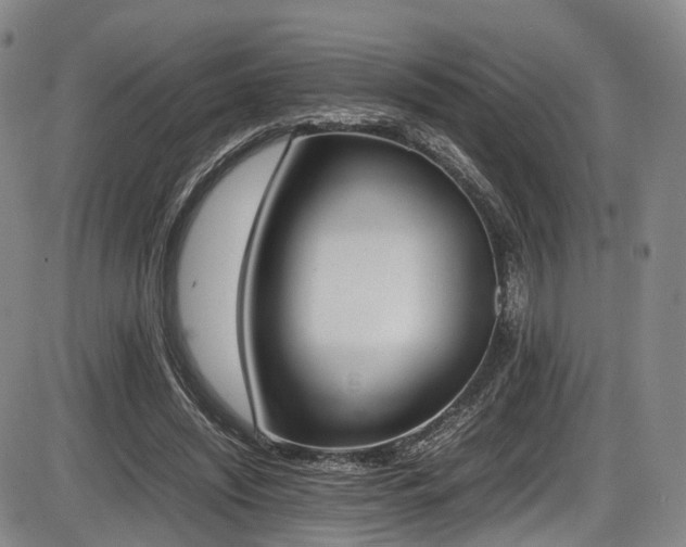 X0000086340444200703301300