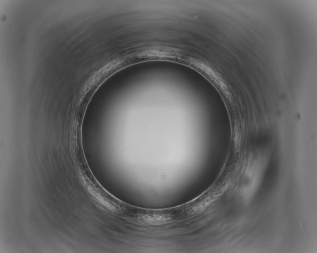 X0000086340445200703301300