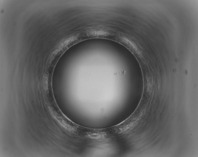 X0000086340447200703301300