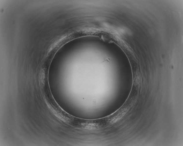 X0000086340448200703301300