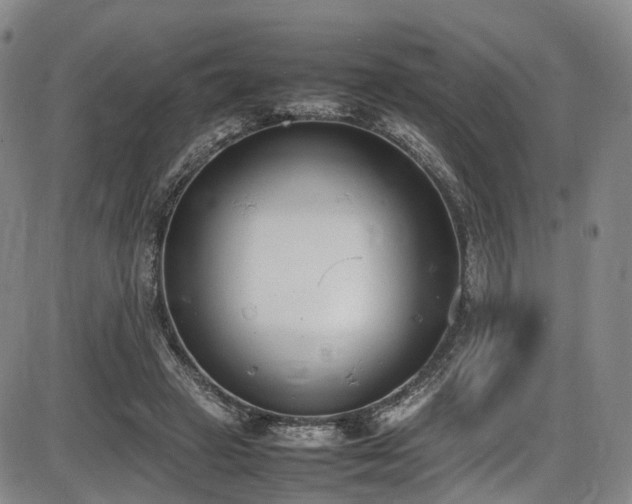 X0000086340449200703301300