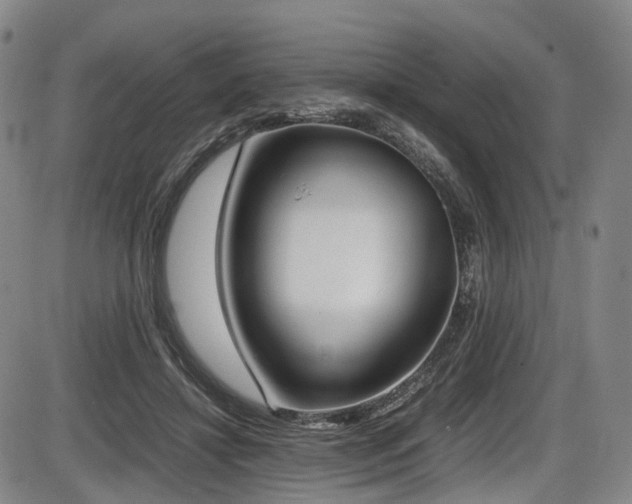 X0000086340452200703301300