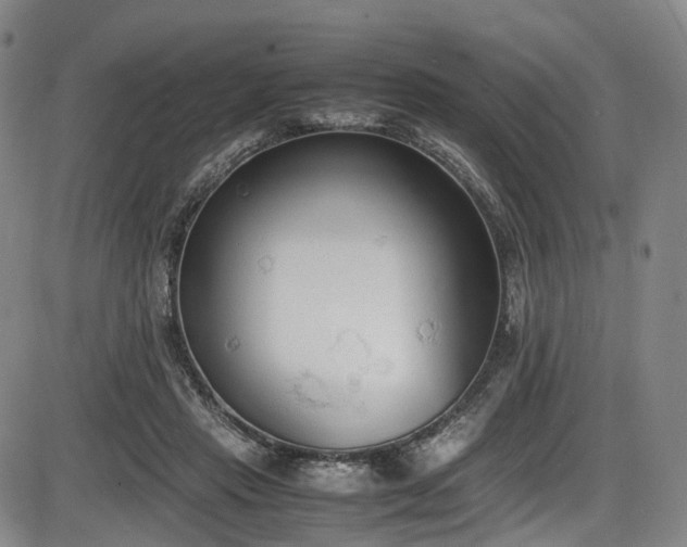X0000086340453200703301300