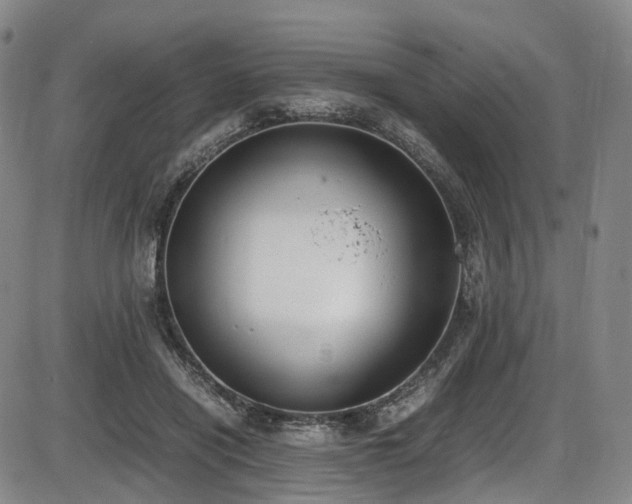 X0000086340454200703301300