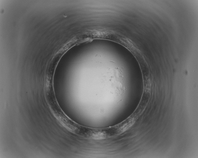 X0000086340456200703301300