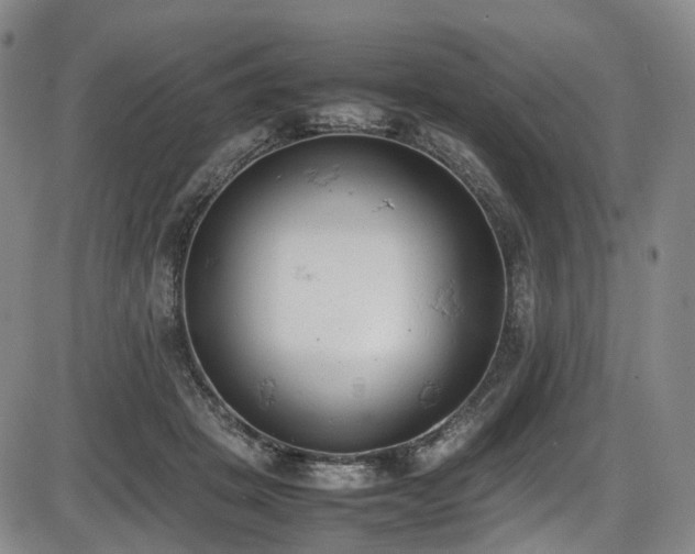 X0000086340457200703301300