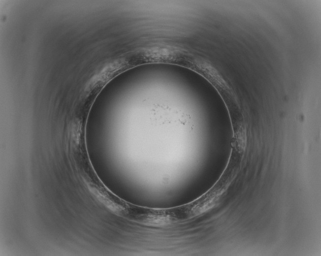 X0000086340458200703301300