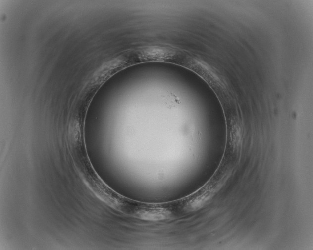 X0000086340459200703301300