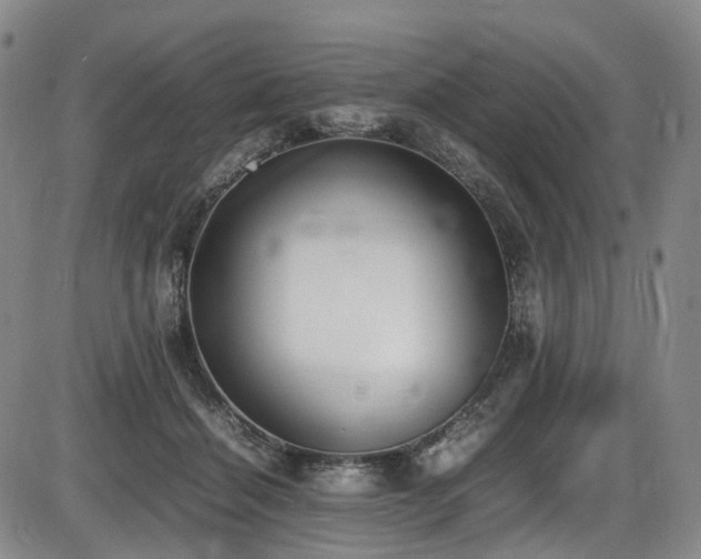 X0000086340460200703301300
