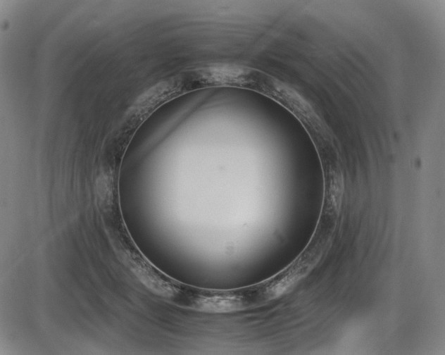 X0000086340461200703301300