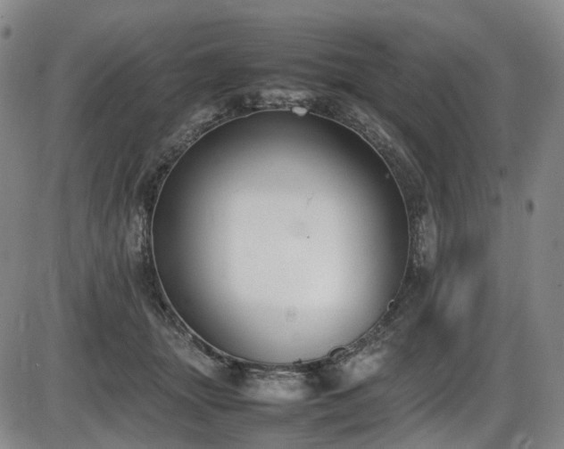 X0000086340463200703301300