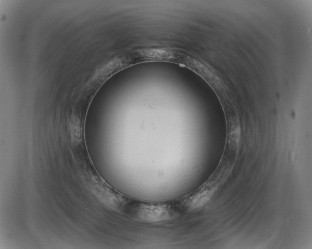 X0000086340469200703301300