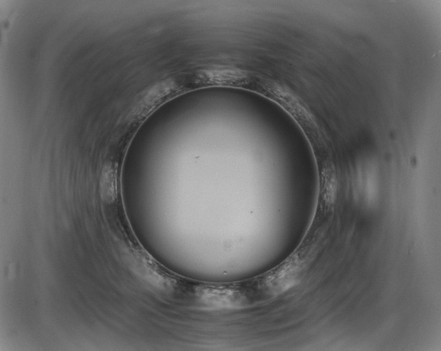X0000086340471200703301300