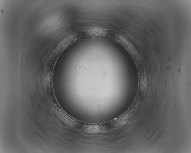 X0000086340473200703301300