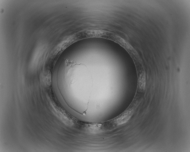 X0000086340474200703301300