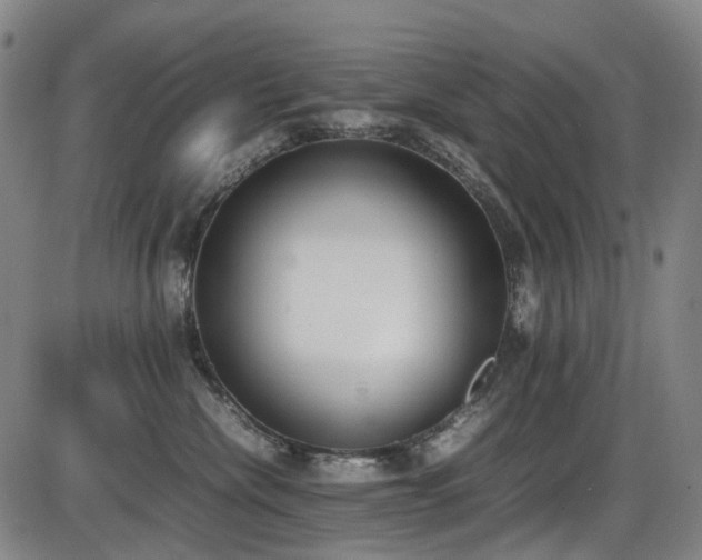 X0000086340476200703301300