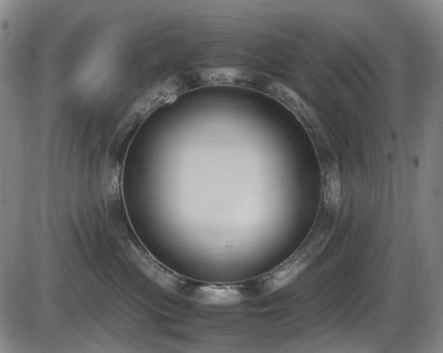 X0000086340477200703301300