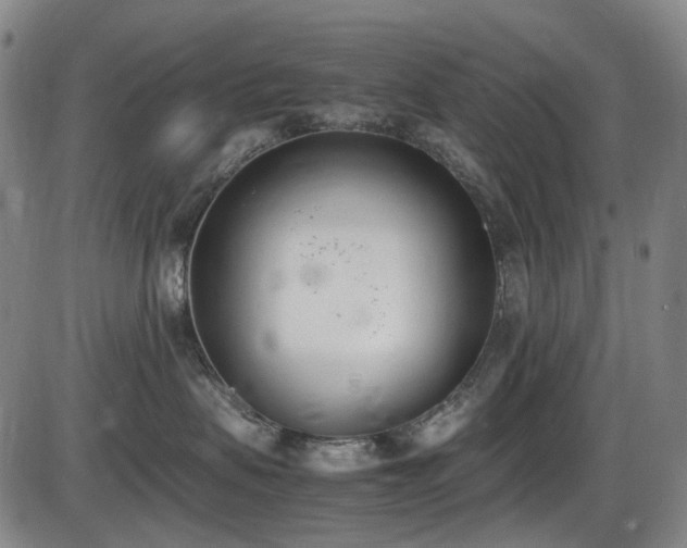 X0000086340479200703301300