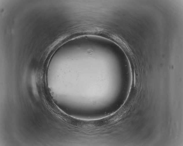 X0000086340483200703301259
