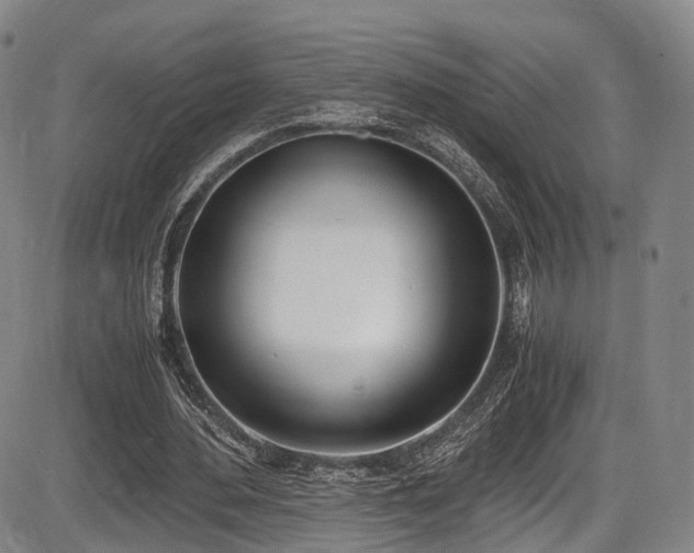 X0000086340484200703301259