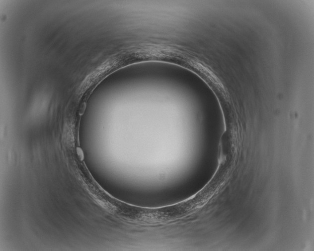 X0000086340489200703301259