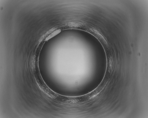 X0000086340492200703301259