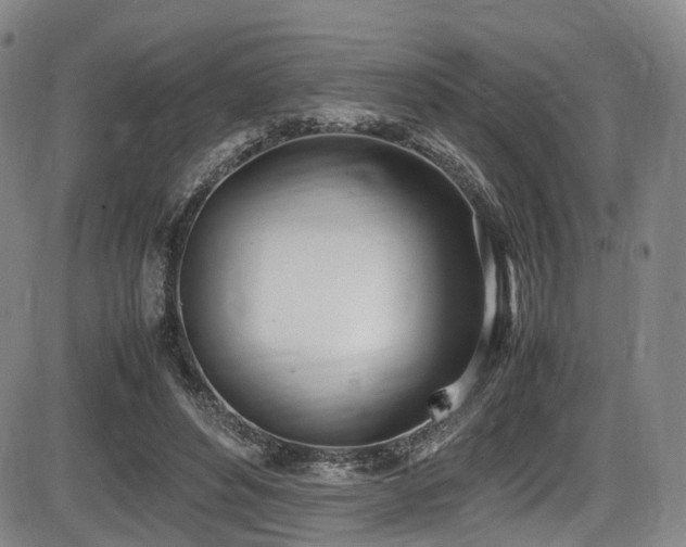 X0000086340496200703301259