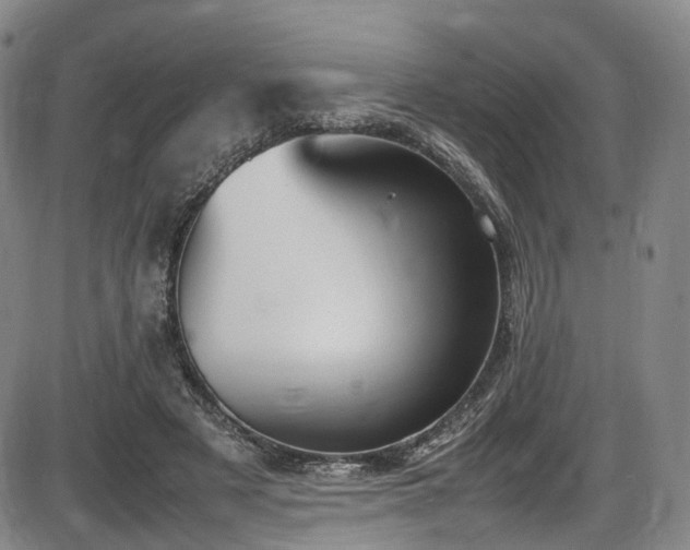X0000086340497200703301259