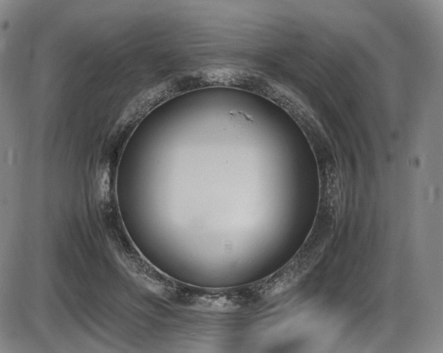 X0000086340502200703301259
