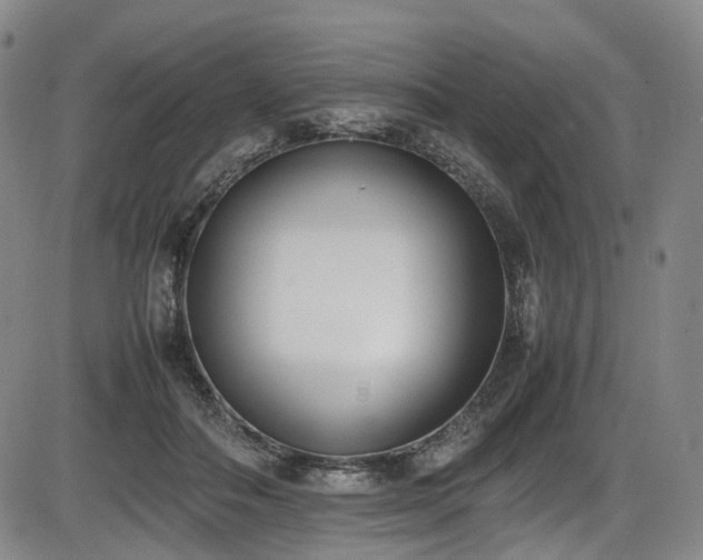 X0000086340506200703301259