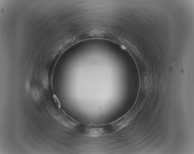 X0000086340508200703301259