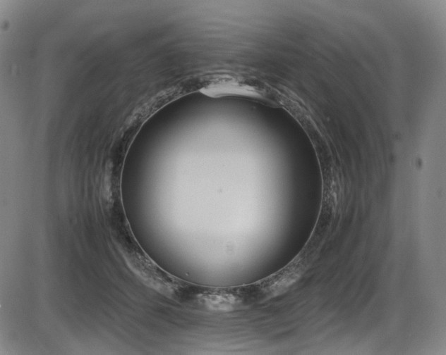 X0000086340512200703301259