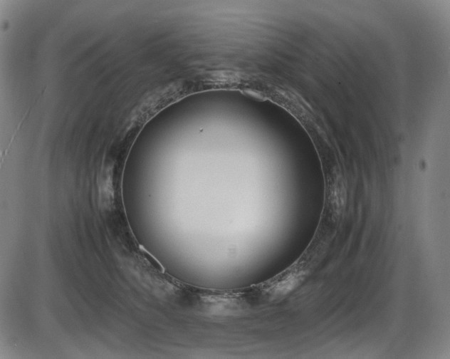 X0000086340516200703301259