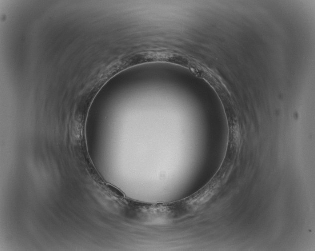 X0000086340517200703301259