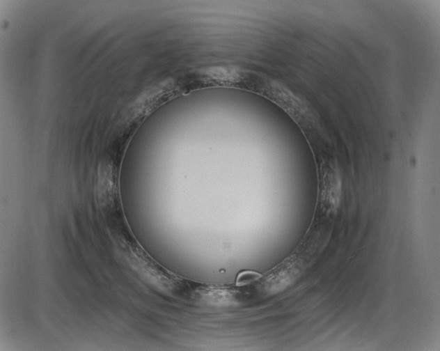 X0000086340518200703301259