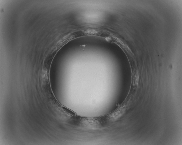 X0000086340521200703301259