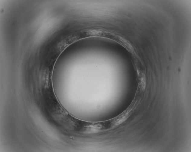 X0000086340525200703301259