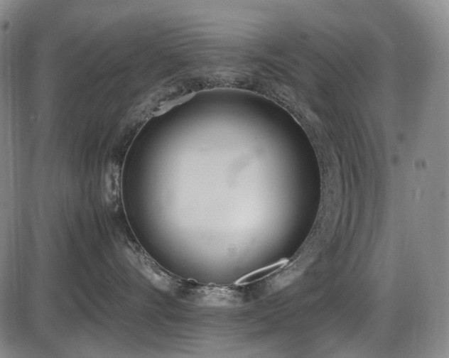 X0000086340528200703301259